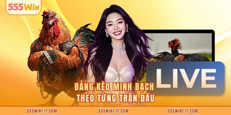 Bảng kèo minh bạch theo từng trận đấu