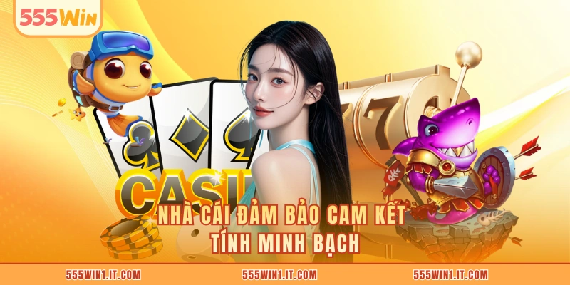 Nhà cái đảm bảo cam kết tính minh bạch